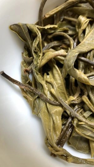2025年杀熟杀透普洱生茶散茶